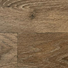 Thumbnail Sand Oak